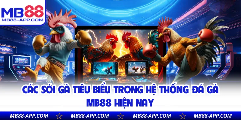 Các sới gà tiêu biểu trong hệ thống đá gà MB88 hiện nay